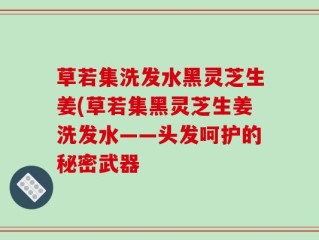 草若集洗发水黑灵芝生姜(草若集黑灵芝生姜洗发水——头发呵护的秘密武器