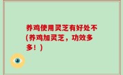 养鸡使用灵芝有好处不(养鸡加灵芝，功效多多！)