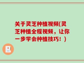 关于灵芝种植视频(灵芝种植全程视频，让你一步学会种植技巧！)
