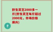 野生灵芝2000多一斤(野生灵芝每斤超过2000元，市场价格飙升)