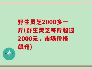 野生灵芝2000多一斤(野生灵芝每斤超过2000元，市场价格飙升)