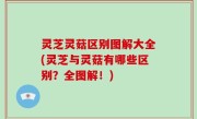 灵芝灵菇区别图解大全(灵芝与灵菇有哪些区别？全图解！)