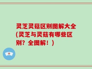 灵芝灵菇区别图解大全(灵芝与灵菇有哪些区别？全图解！)