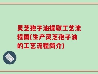 灵芝孢子油提取工艺流程图(生产灵芝孢子油的工艺流程简介)