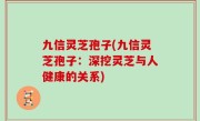 九信灵芝孢子(九信灵芝孢子：深挖灵芝与人健康的关系)