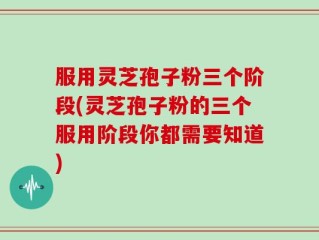 服用灵芝孢子粉三个阶段(灵芝孢子粉的三个服用阶段你都需要知道)