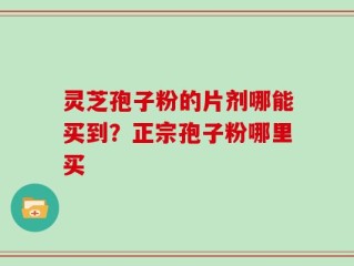 灵芝孢子粉的片剂哪能买到？正宗孢子粉哪里买