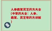 人参鹿茸灵芝药方大全(中草药大全：人参、鹿茸、灵芝等药方详解)