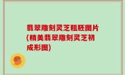 翡翠雕刻灵芝粗胚图片(精美翡翠雕刻灵芝初成形图)