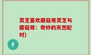 灵芝喜欢蘑菇哥灵芝与蘑菇哥：奇妙的天然配对)