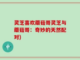 灵芝喜欢蘑菇哥灵芝与蘑菇哥：奇妙的天然配对)