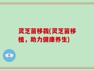 灵芝苗移栽(灵芝苗移植，助力健康养生)