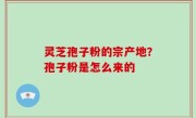 灵芝孢子粉的宗产地？孢子粉是怎么来的