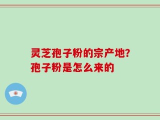 灵芝孢子粉的宗产地？孢子粉是怎么来的