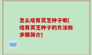 怎么培育灵芝种子呢(培育灵芝种子的方法和步骤简介)