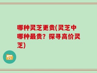 哪种灵芝更贵(灵芝中哪种最贵？探寻高价灵芝)