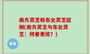 南方灵芝和东北灵芝区别(南方灵芝与东北灵芝：何者更优？)