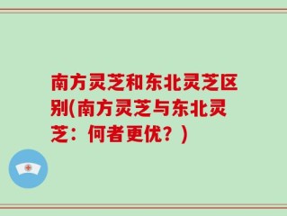南方灵芝和东北灵芝区别(南方灵芝与东北灵芝：何者更优？)