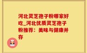 河北灵芝孢子粉哪家好吃_河北优质灵芝孢子粉推荐：美味与健康并存