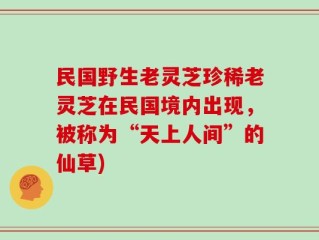 民国野生老灵芝珍稀老灵芝在民国境内出现，被称为“天上人间”的仙草)
