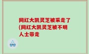 网红大凯灵芝被采走了(网红大凯灵芝被不明人士带走