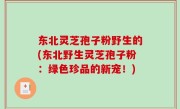 东北灵芝孢子粉野生的(东北野生灵芝孢子粉：绿色珍品的新宠！)