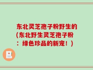 东北灵芝孢子粉野生的(东北野生灵芝孢子粉：绿色珍品的新宠！)