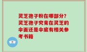 灵芝孢子粉在哪部分？灵芝孢子究竟在灵芝的伞面还是伞底有相关参考书籍