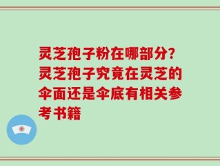 灵芝孢子粉在哪部分？灵芝孢子究竟在灵芝的伞面还是伞底有相关参考书籍
