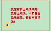灵芝石斛土鸡汤功效(灵石土鸡汤，中药养生品味道佳，具有丰富功效)