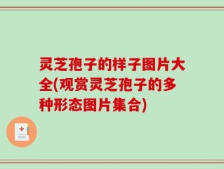 灵芝孢子的样子图片大全(观赏灵芝孢子的多种形态图片集合)
