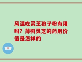 风湿吃灵芝孢子粉有用吗？薄树灵芝的药用价值是怎样的