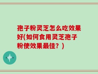 孢子粉灵芝怎么吃效果好(如何食用灵芝孢子粉使效果最佳？)