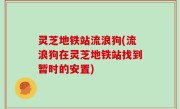 灵芝地铁站流浪狗(流浪狗在灵芝地铁站找到暂时的安置)