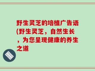野生灵芝的培植广告语(野生灵芝，自然生长，为您呈现健康的养生之道