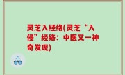 灵芝入经络(灵芝“入侵”经络：中医又一神奇发现)