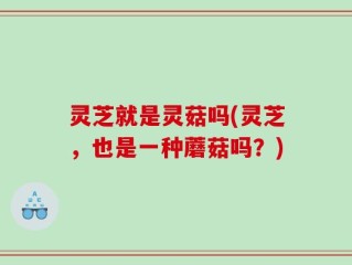 灵芝就是灵菇吗(灵芝，也是一种蘑菇吗？)