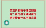 灵芝片和孢子油区别图片？灵芝孢子油和灵芝孢子粉有什么不同之处
