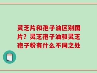 灵芝片和孢子油区别图片？灵芝孢子油和灵芝孢子粉有什么不同之处