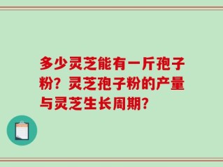 多少灵芝能有一斤孢子粉？灵芝孢子粉的产量与灵芝生长周期？