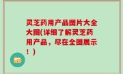 灵芝药用产品图片大全大图(详细了解灵芝药用产品，尽在全图展示！)
