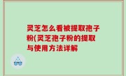 灵芝怎么看被提取孢子粉(灵芝孢子粉的提取与使用方法详解