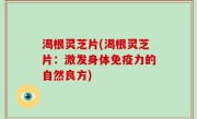 渴根灵芝片(渴根灵芝片：激发身体免疫力的自然良方)