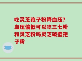 吃灵芝孢子粉降血压？血压偏低可以吃三七粉和灵芝粉吗灵芝破壁孢子粉