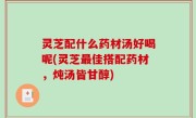灵芝配什么药材汤好喝呢(灵芝最佳搭配药材，炖汤皆甘醇)