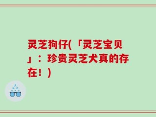 灵芝狗仔(「灵芝宝贝」：珍贵灵芝犬真的存在！)