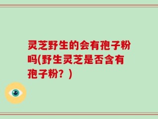 灵芝野生的会有孢子粉吗(野生灵芝是否含有孢子粉？)