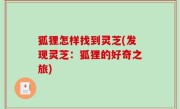 狐狸怎样找到灵芝(发现灵芝：狐狸的好奇之旅)