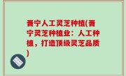 晋宁人工灵芝种植(晋宁灵芝种植业：人工种植，打造顶级灵芝品质)