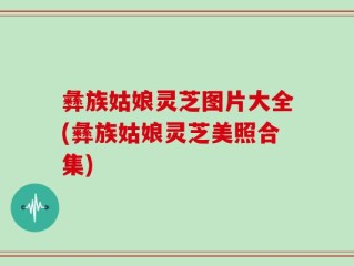 彝族姑娘灵芝图片大全(彝族姑娘灵芝美照合集)